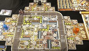 Котики Киото