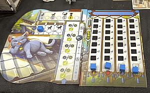 Котики Киото