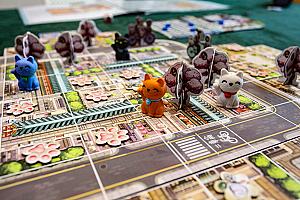 Котики Киото