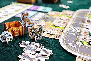 Котики Киото