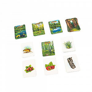 Лесные истории