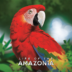 
                                            Изображение
                                                                                                настольной игры
                                                                                                «Life of the Amazonia»
                                        