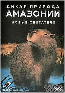 
                            Изображение
                                                                дополнения
                                                                «Дикая природа Амазонии. Новые обитатели»
                        