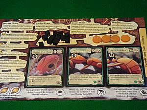 Марш муравьёв