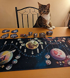 MLEM: Space Agency