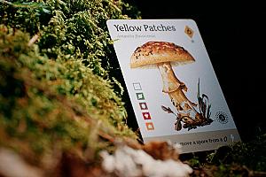 https://splitstonegames.com/