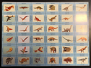 Вкладыш №2: 36 карточек с динозаврами, рубашка