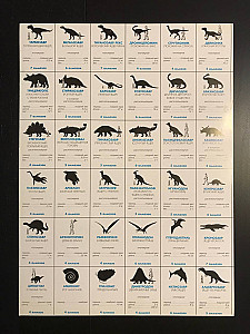 Вкладыш №2: 36 карточек с динозаврами, лицевая сторона