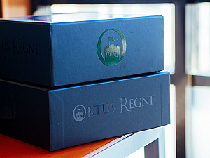 
                            Изображение
                                                                дополнения
                                                                «Ortus Regni: Expansion»
                        