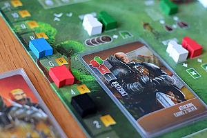 Паладины западного королевства