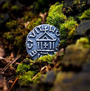 Паладины западного королевства