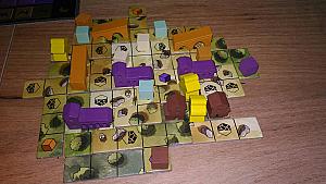 Вариант развития города в долине: виноградники и акведуки. Рост в ширину. Победные очки за пространство и клетки засухи.