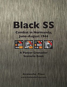 
                            Изображение
                                                                дополнения
                                                                «Panzer Grenadier: Black SS»
                        