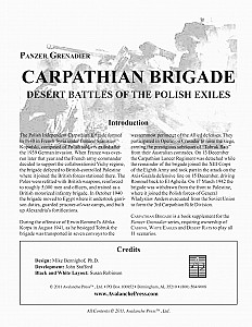 
                            Изображение
                                                                дополнения
                                                                «Panzer Grenadier: Carpathian Brigade»
                        