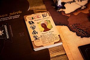 Фотограф Светлана Белова