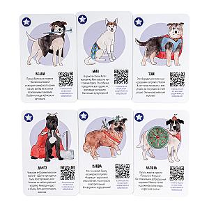 Пёс Попутал × Teddy Food