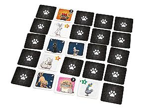 Карманные кошки