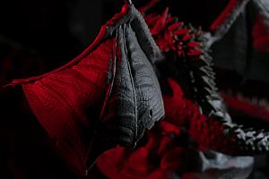 Фотограф Евгений Храмов