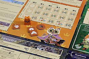 Фотограф Анастасия Миргалимова