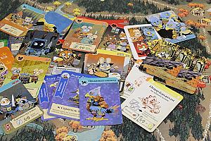 Фотограф Анастасия Миргалимова