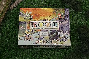 Фотограф Анастасия Миргалимова