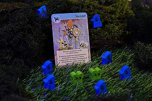 Фотограф Анастасия Миргалимова