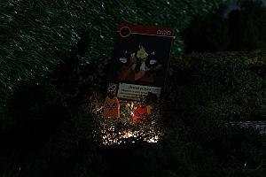 Фотограф Анастасия Миргалимова