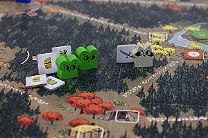 Фотограф Анастасия Миргалимова