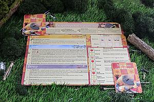 Фотограф Анастасия Миргалимова