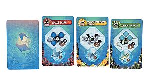 Коралловое Море. Сезон Гнездования