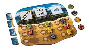 Коралловое Море. Сезон Гнездования