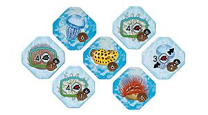 Коралловое Море. Сезон Гнездования