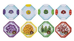 Коралловое Море. Сезон Гнездования