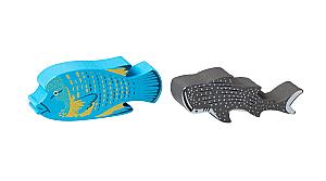 Коралловое Море. Редкие Виды