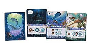 Коралловое Море. Редкие Виды