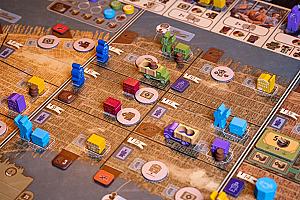 Фотограф Светлана Белова