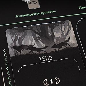 Storyfold. Тёмный Лес