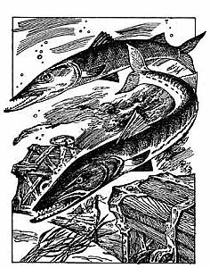 Внутренняя иллюстрация