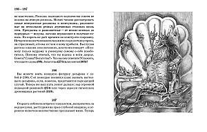 Внутренняя иллюстрация