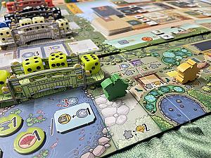 Белый Замок. Матча