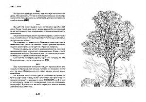 Внутренняя иллюстрация