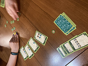 Процесс игры