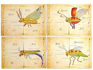 Весёлая генетика. Насекомые