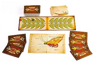 Весёлая генетика. Насекомые