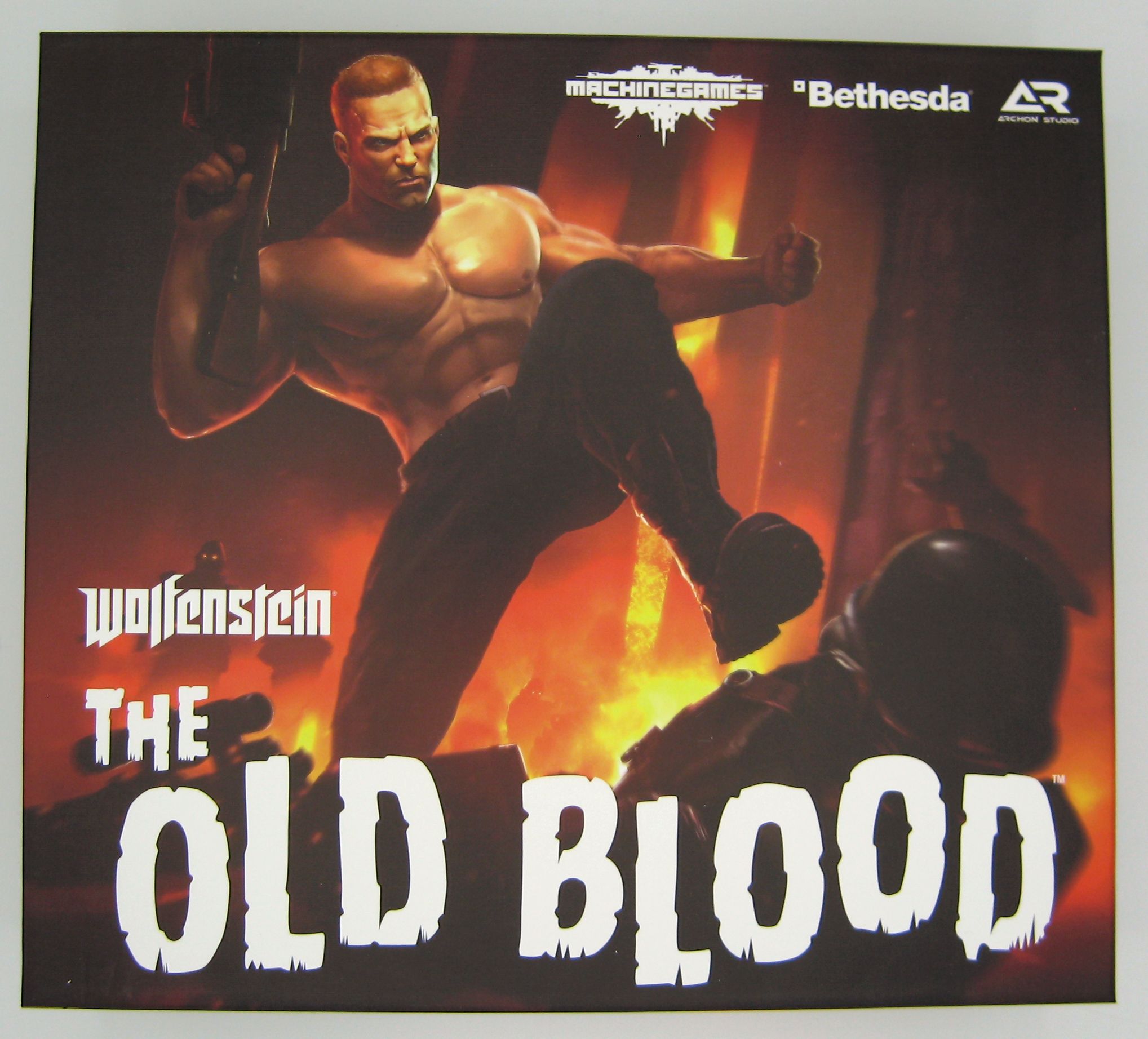 Wolfenstein: The Old Blood»