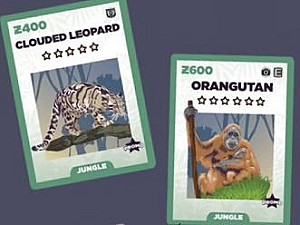 
                            Изображение
                                                                промо
                                                                «Zoo King: Clouded Leopard & Orangutan Promo cards»
                        