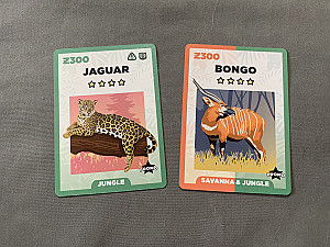 Zoo King: Jaguar & Bongo Promo cards