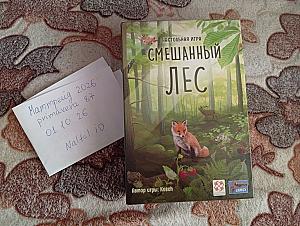 Смешанный лес