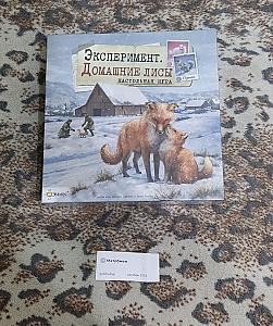 Эксперимент Домашние лисы