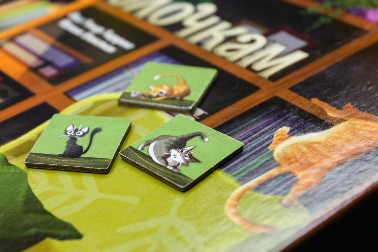 По Полочкам